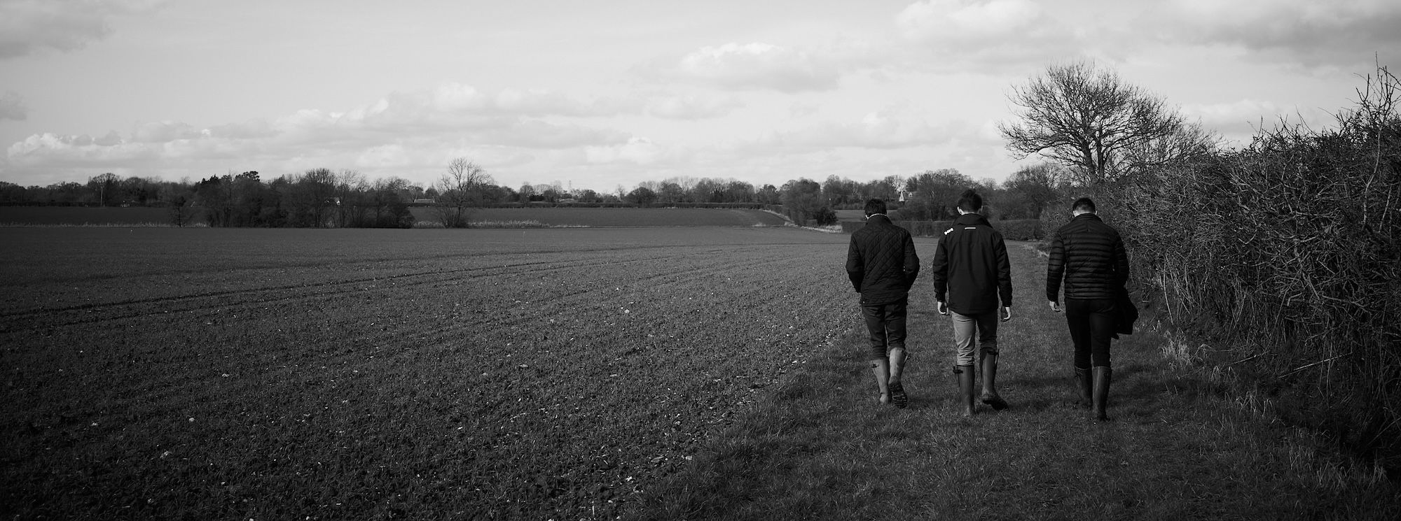 Estate Management image