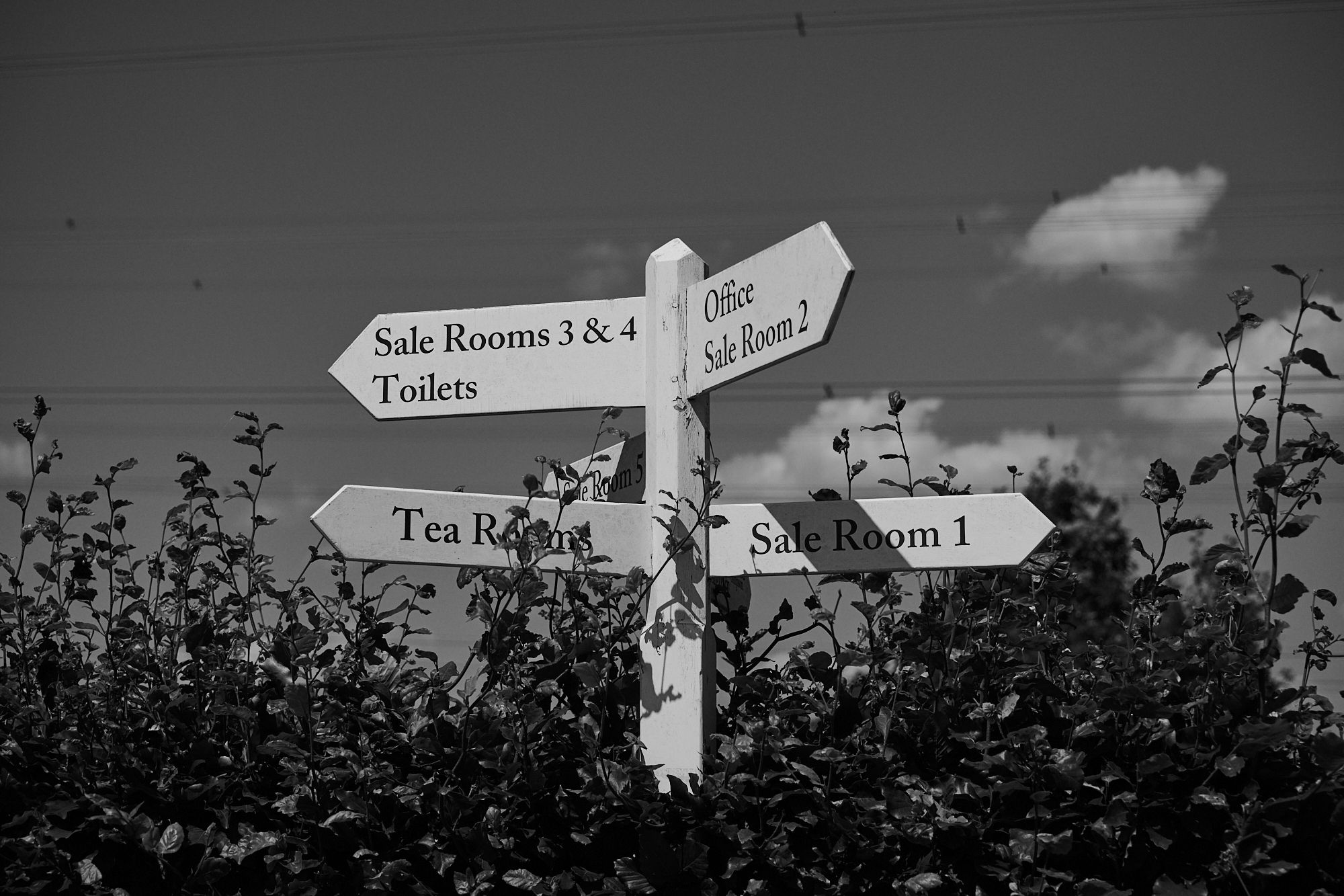 Take a Look Around image