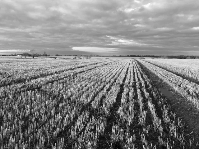 Compulsory Purchase image