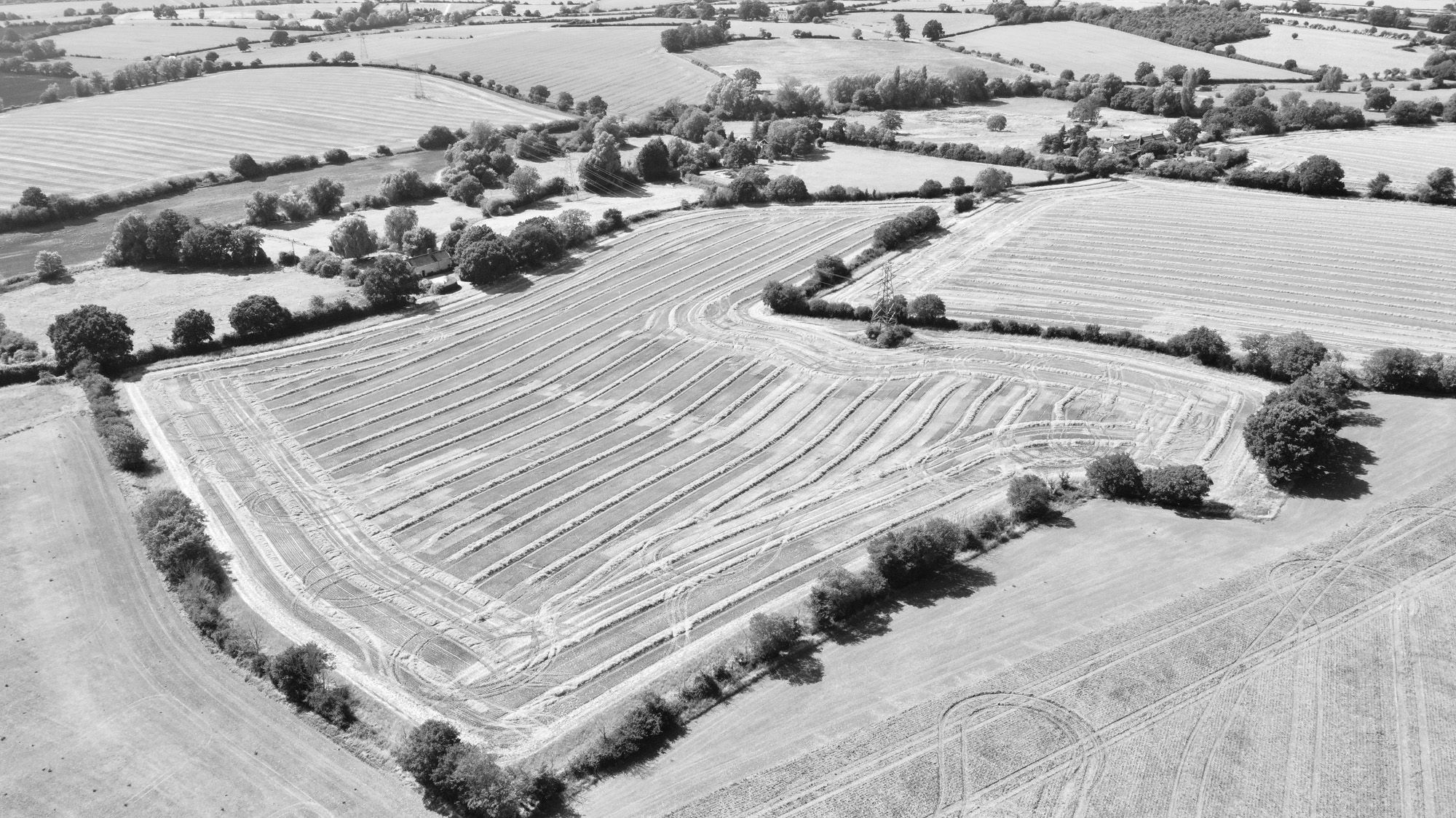 Professional Valuation image