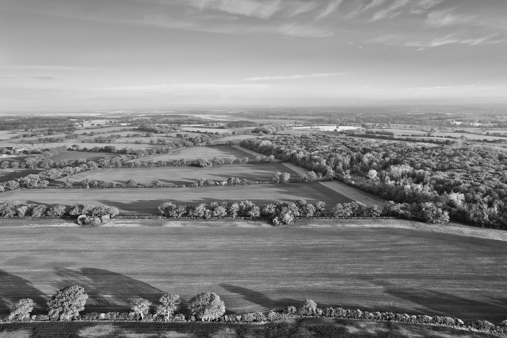 Rural Consultancy &amp; Valuation image