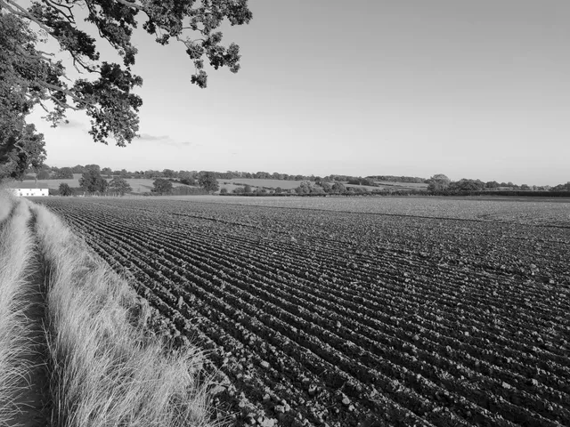 View All <br>Farms &amp; Land image