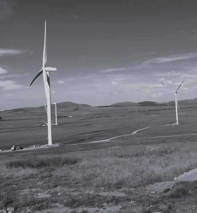 Environmental Schemes image